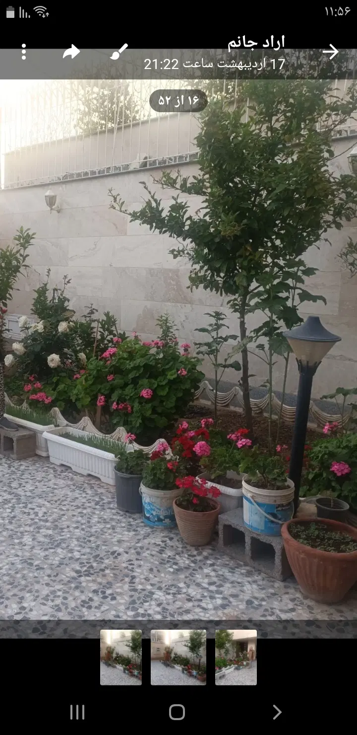 فروش باغ شهر   قلات ۱۰۰۰ متر