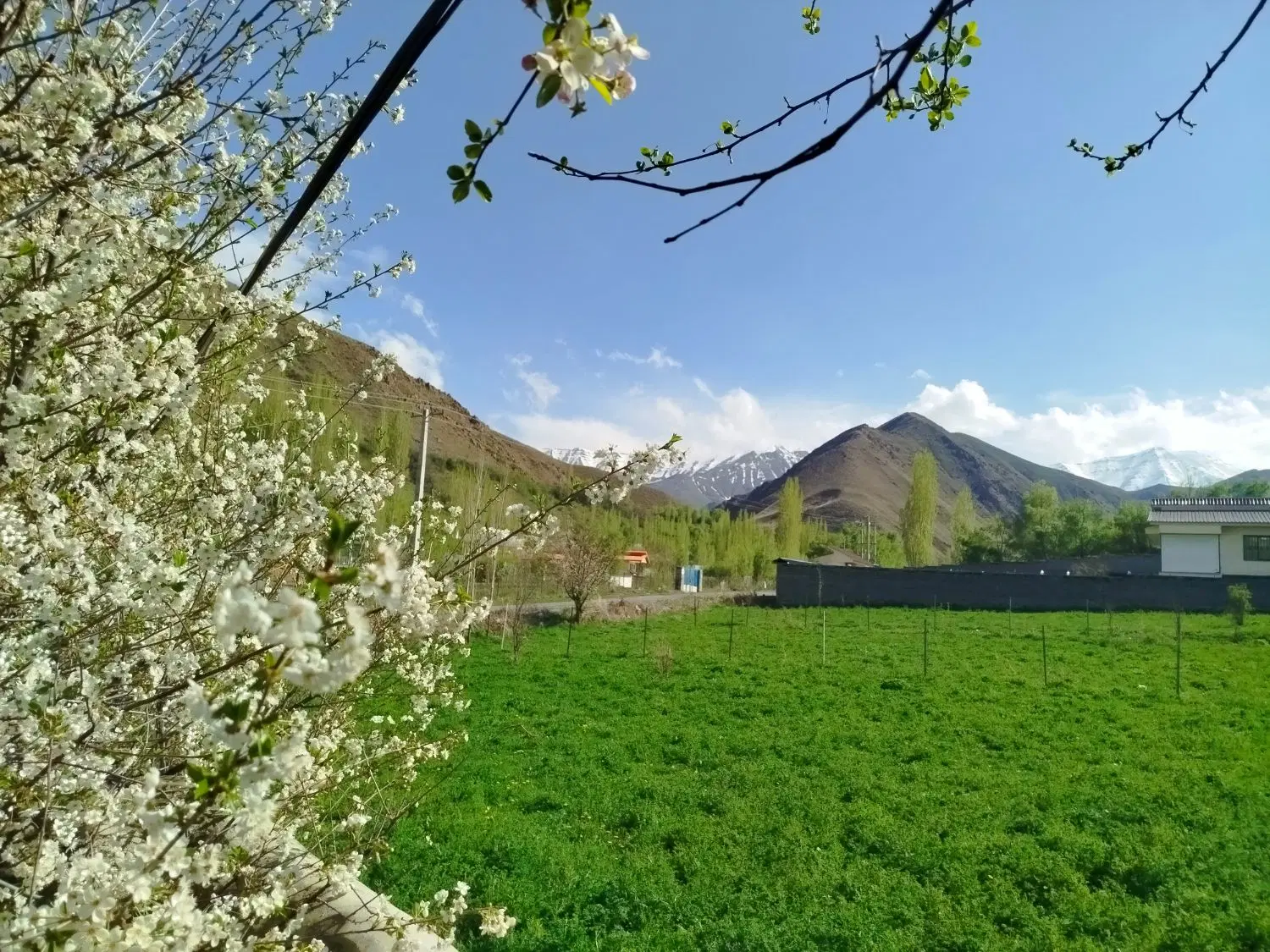 ملک سند دار