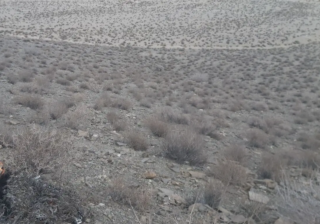 ۸قصب زمین مسکونی محمودابادفاز ۱