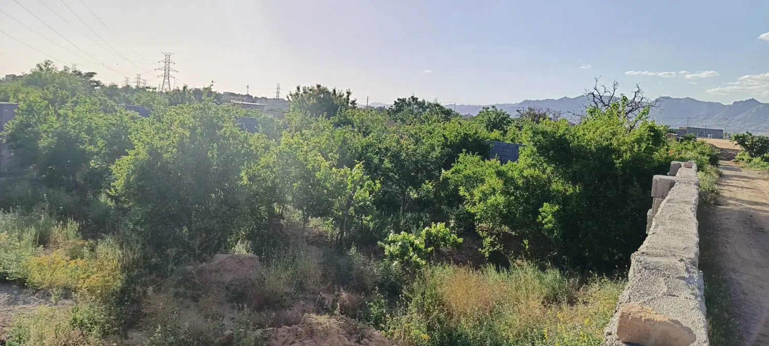 باغ جاده مشهد