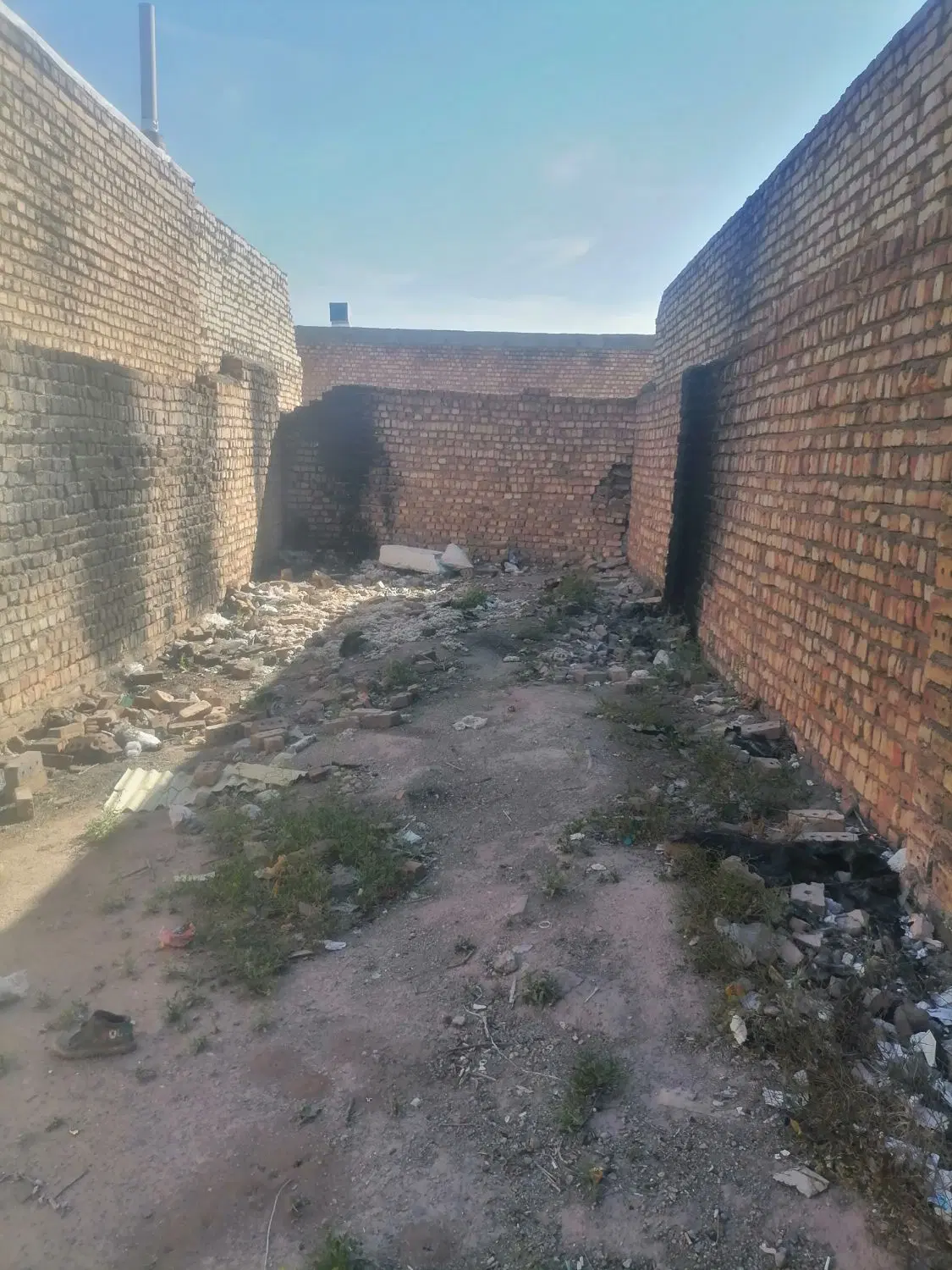 زمین