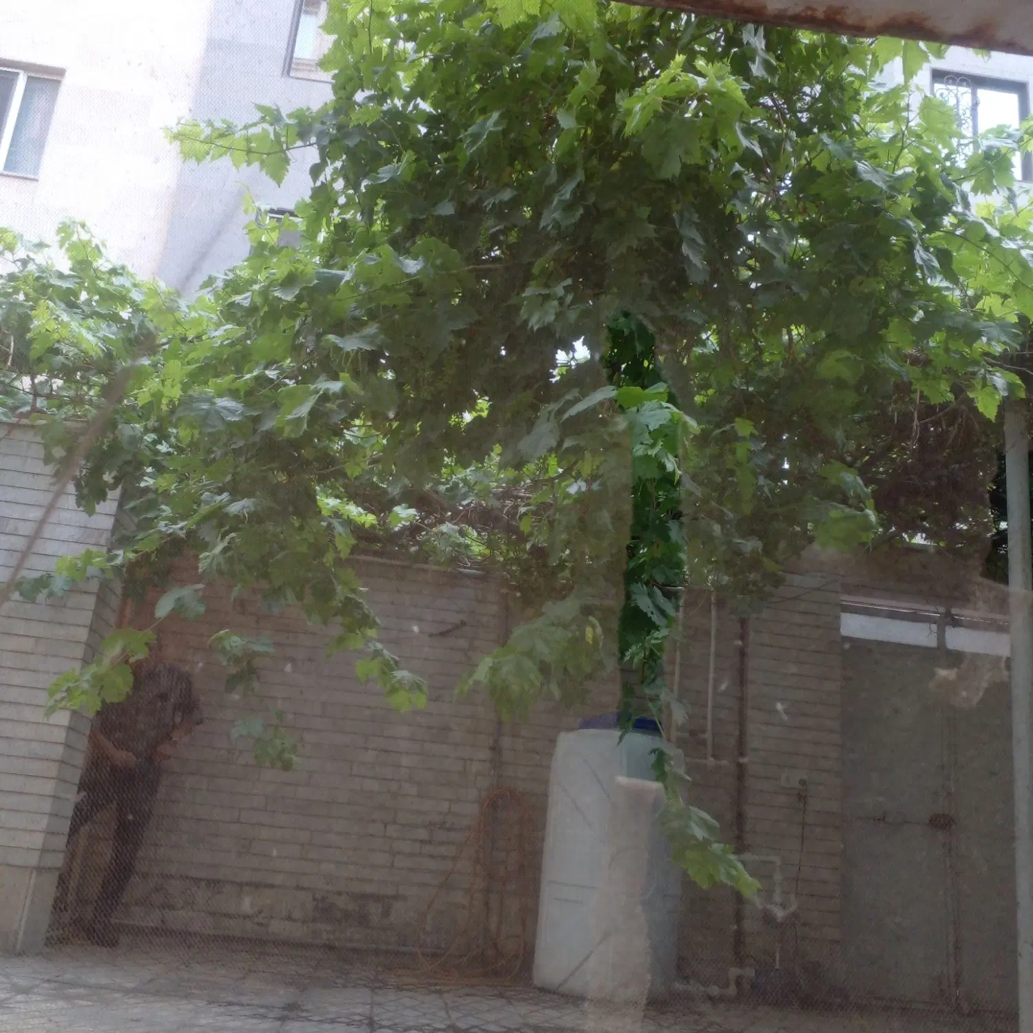 اجاره واحد ۹۰ متری
