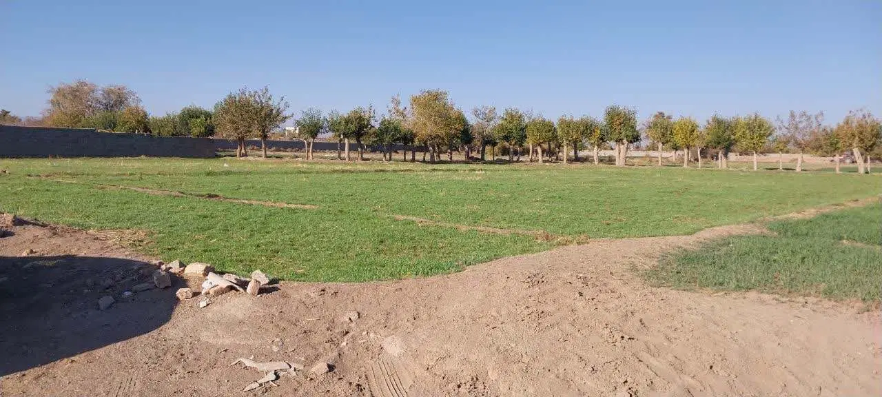 زمین مزروعی  به مساحت ۹۵۰ متردر نوغاب گناباد
