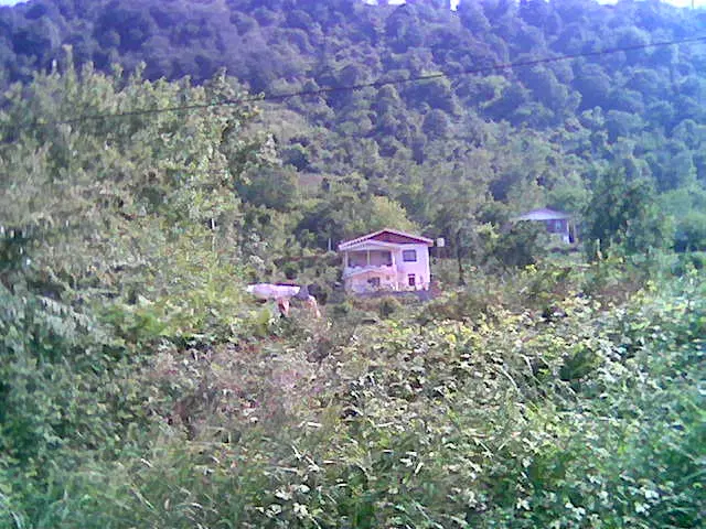 48متری