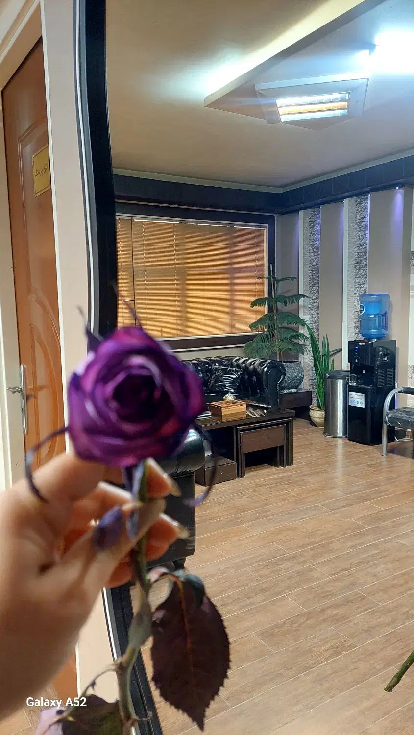 اجاره مطب زیبایی باتمامی تجهیزات