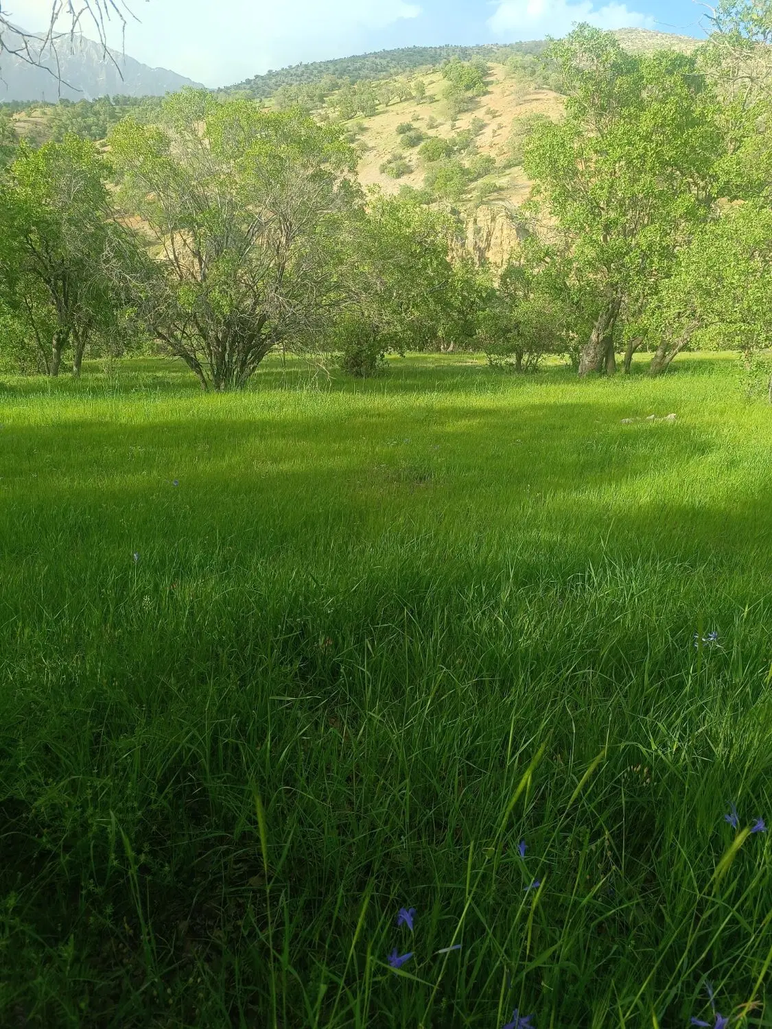 زمین طرح هادی مزدک حبیب اباد