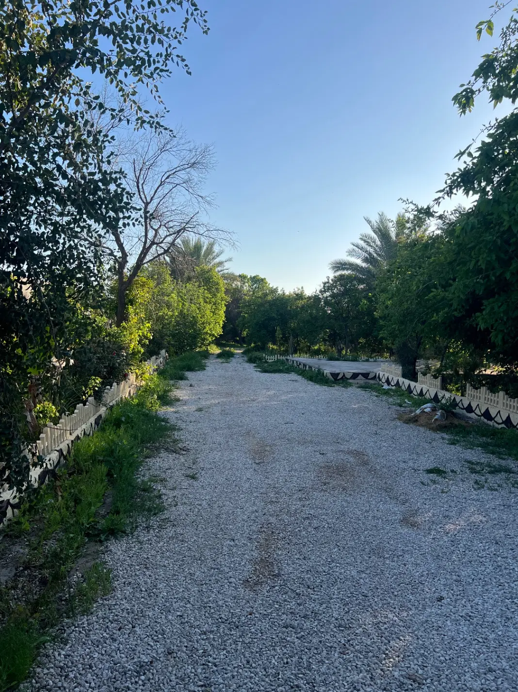 زمین فروشی