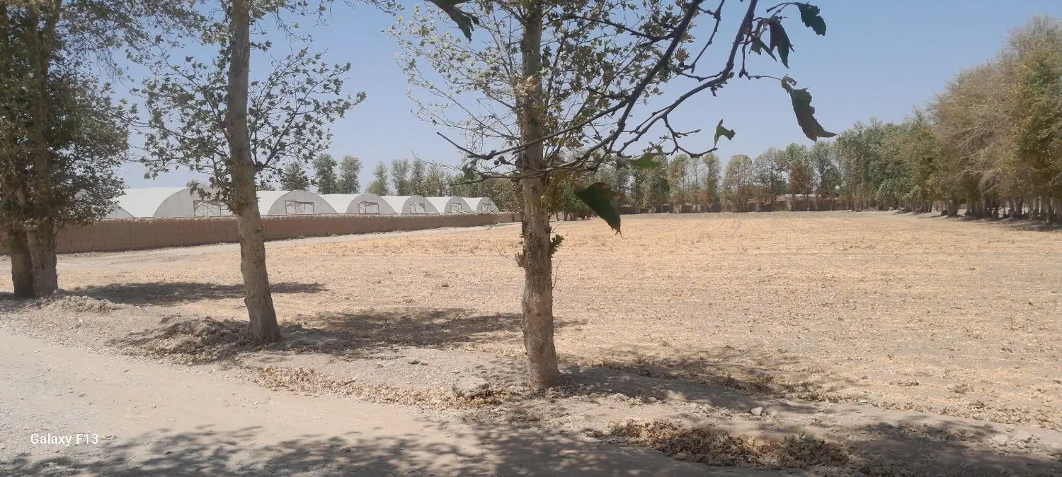 زمین به مساحت 1150