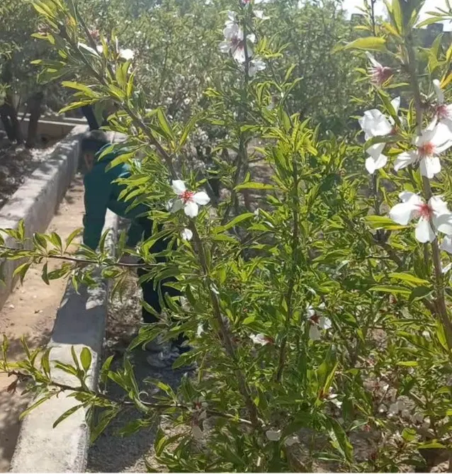 فروش باغ