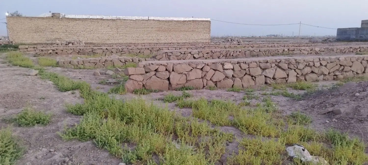 زمین  مندلی