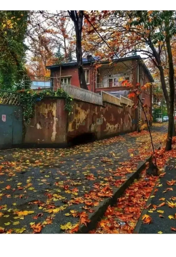ملاصدرا غربی . ۱۵۳ متری