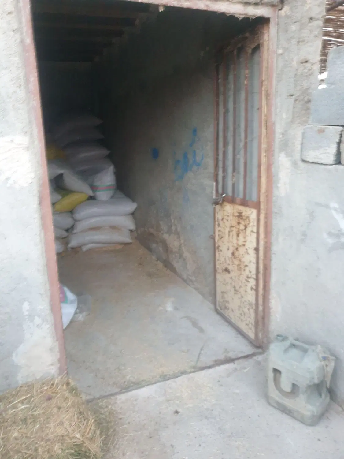 زمین میدان دام
