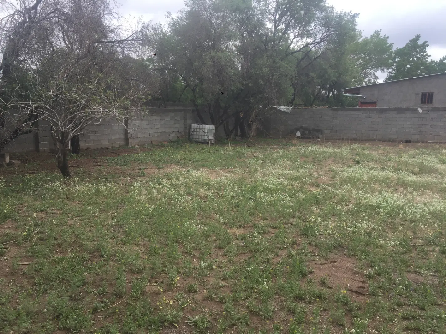 زمین جهت خانه باغ در کران