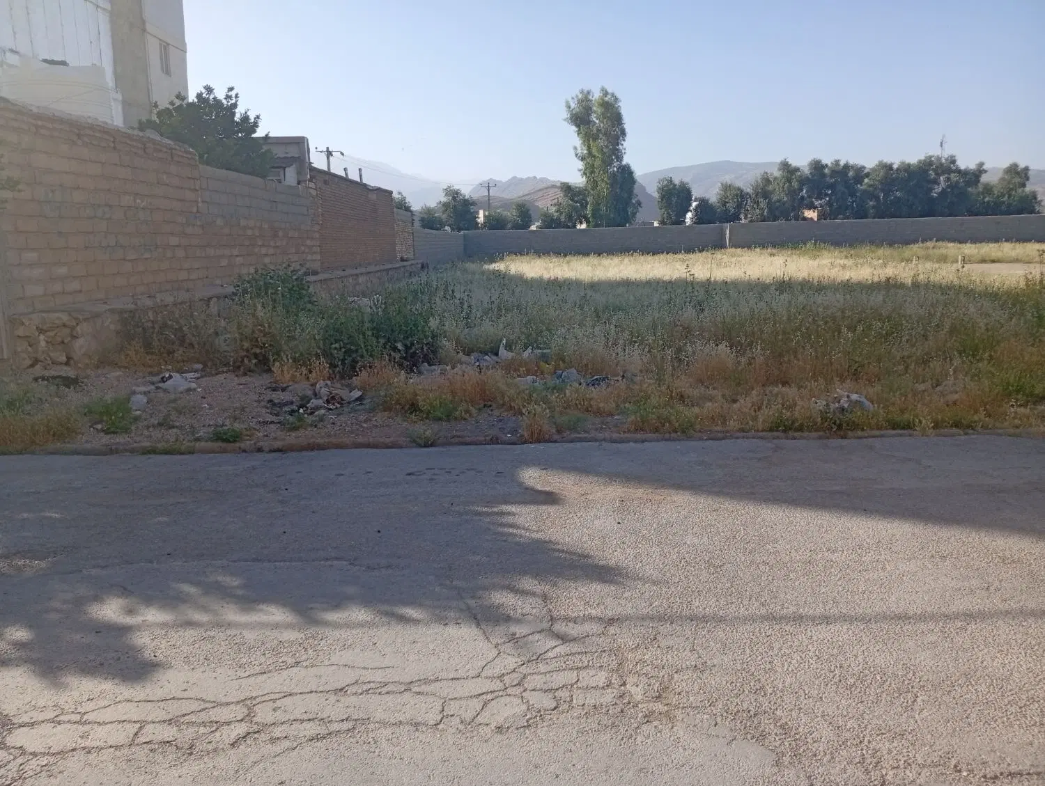 زمین