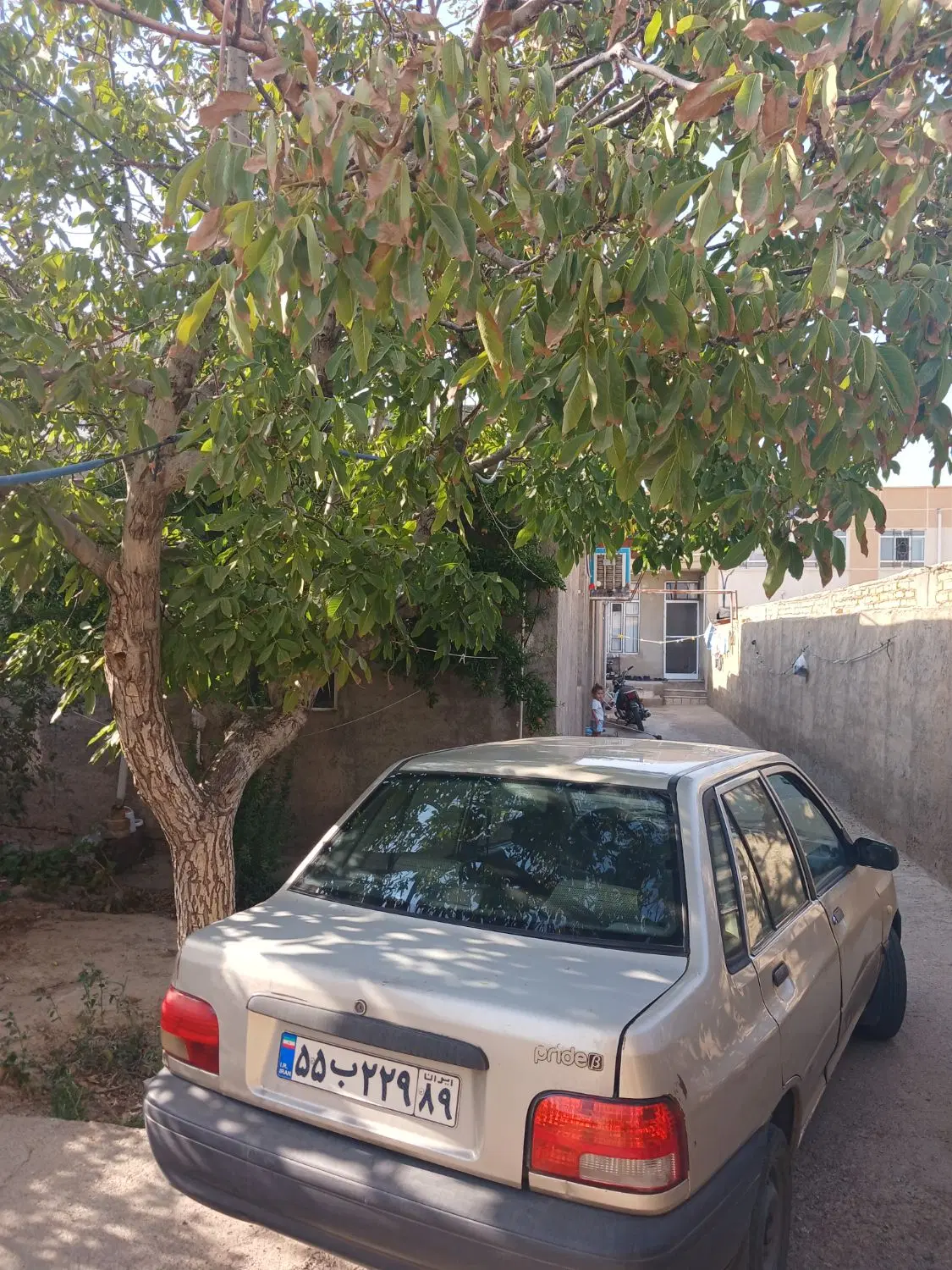 خانه