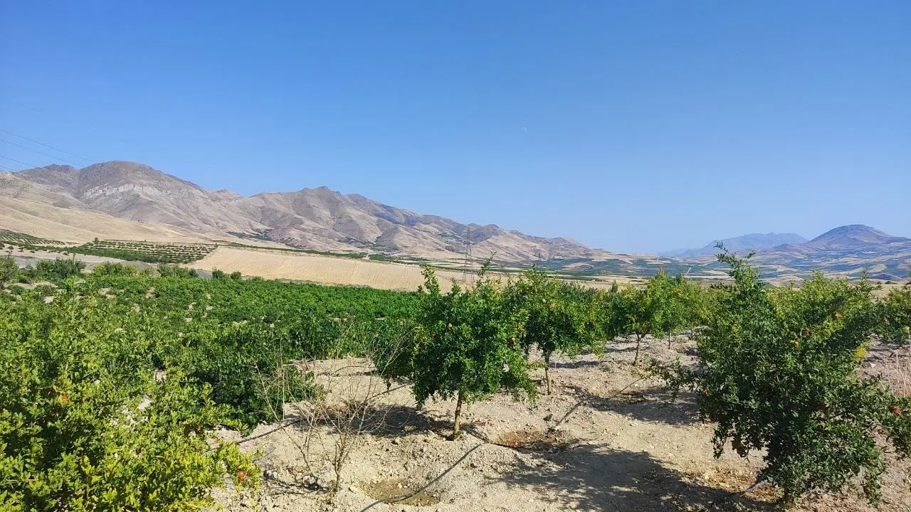 فروش 3200 متر باغ مثمر دارای خانه باغ روستای کاشتر