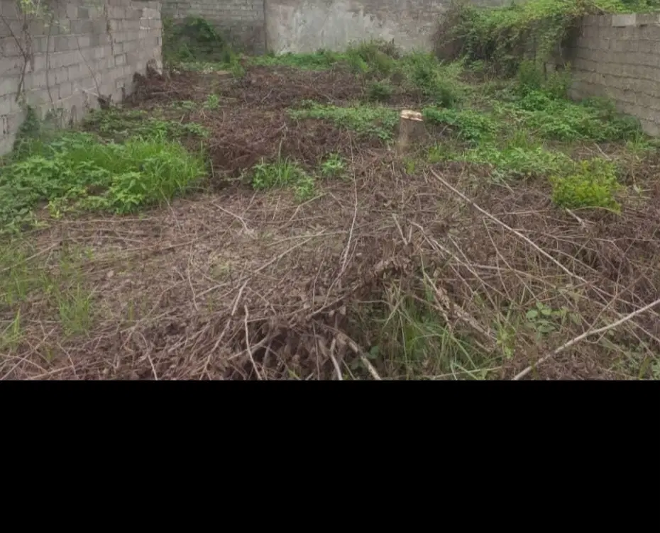 زمین ۸۱ متری حمیدیان