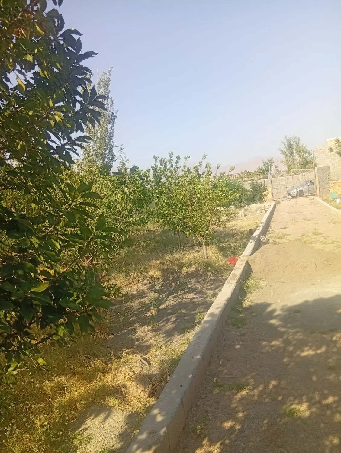 باغ ویلایی