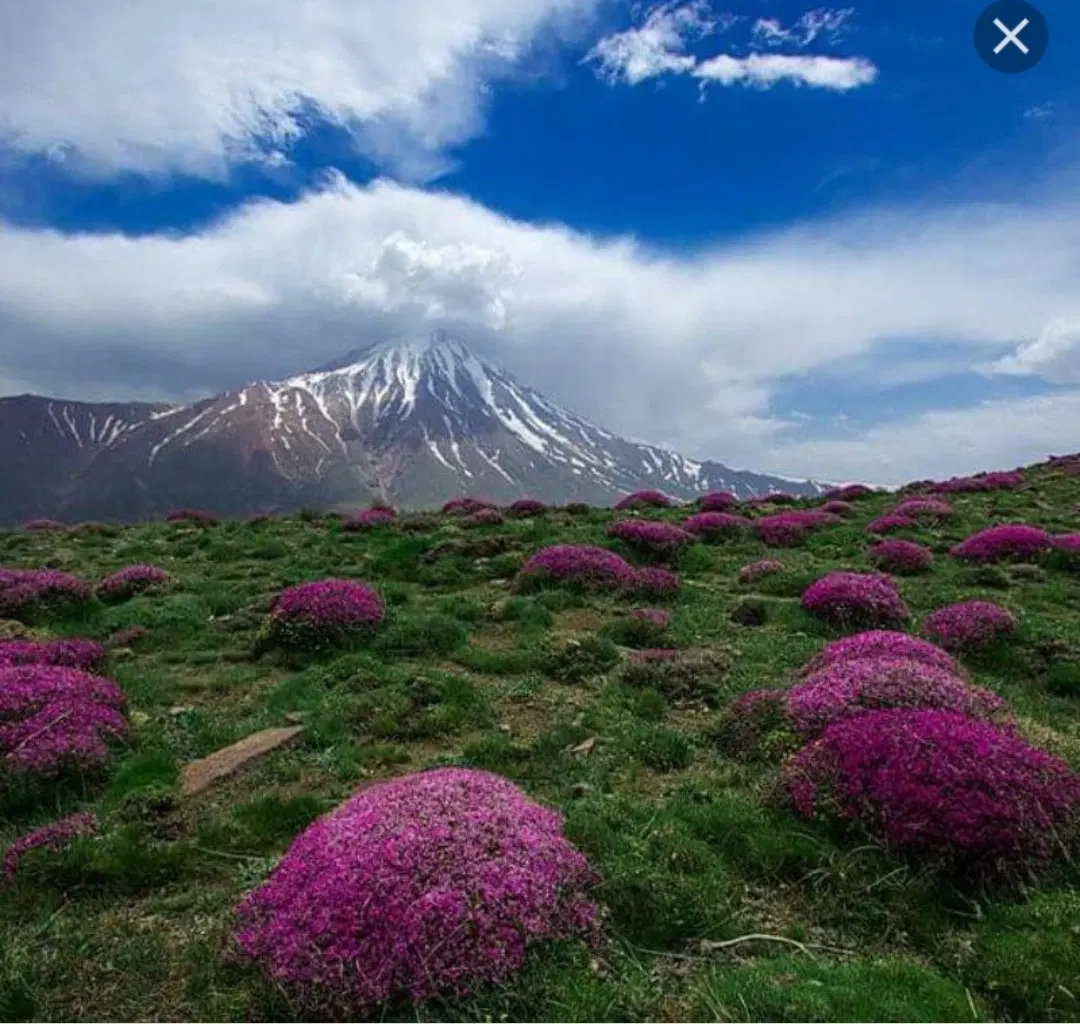 زمین آماده ساخت وسرمایه گذاری