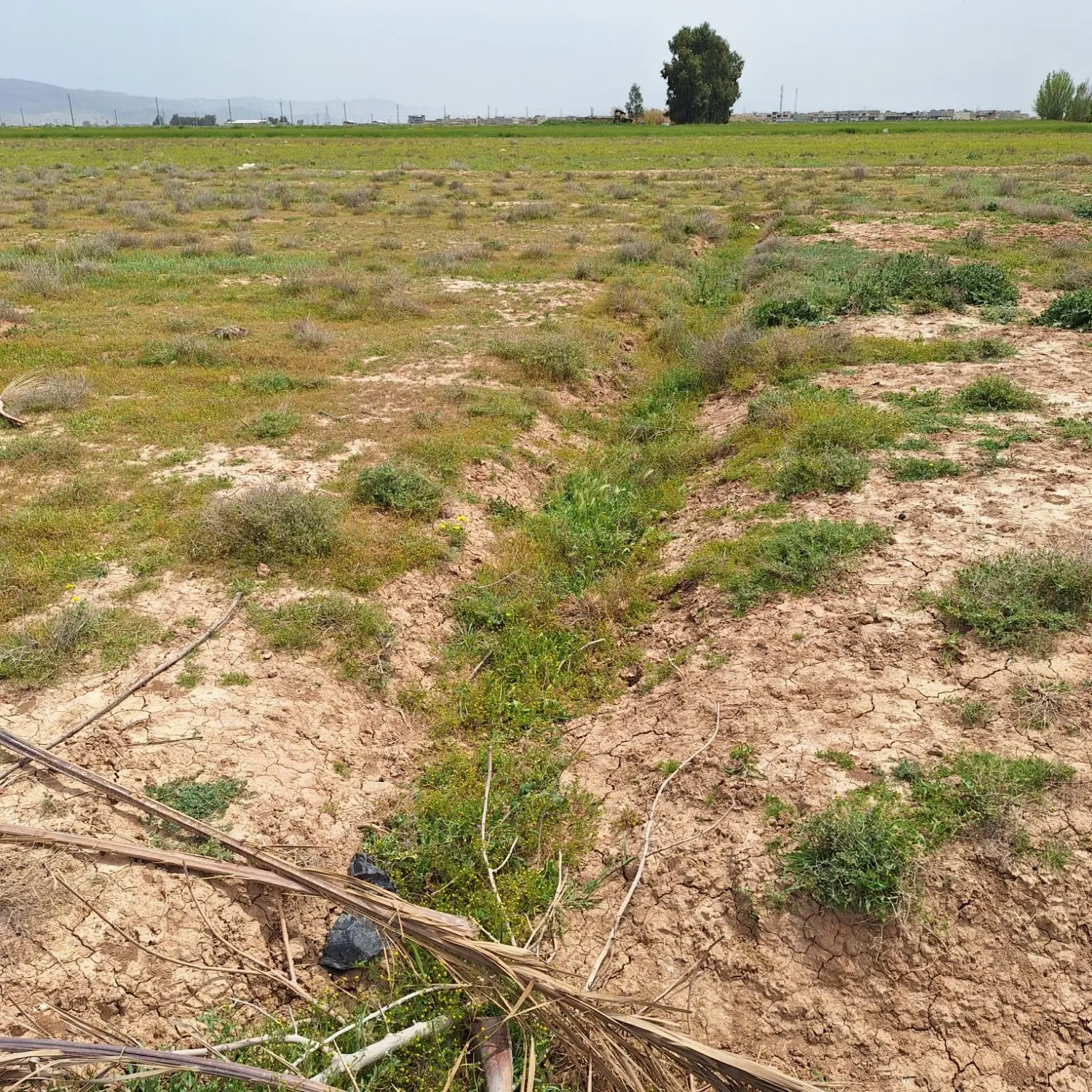 فروش زمین مسکونی
