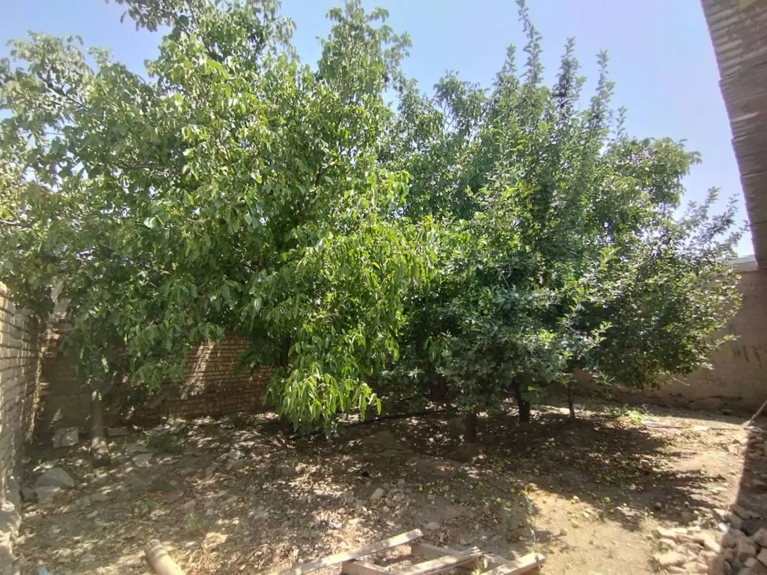 فروش باغ دیزج آباد