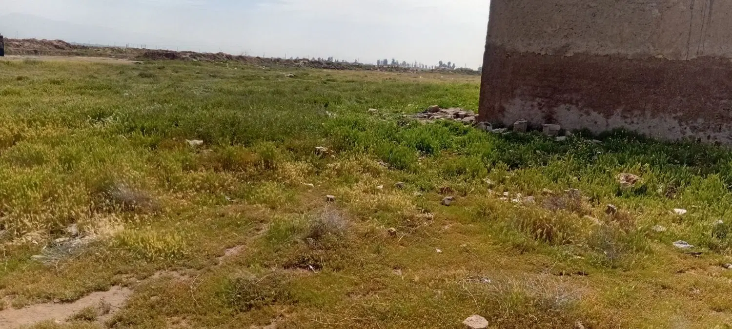 زمین وزیرآباد