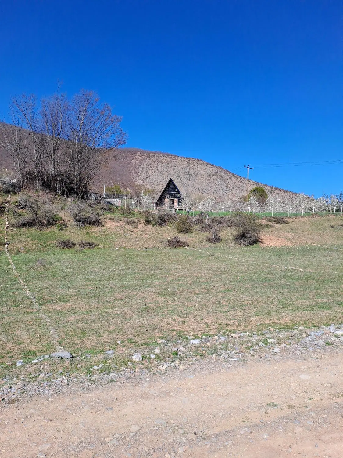 زمین در منطقه کیا کلا کجور