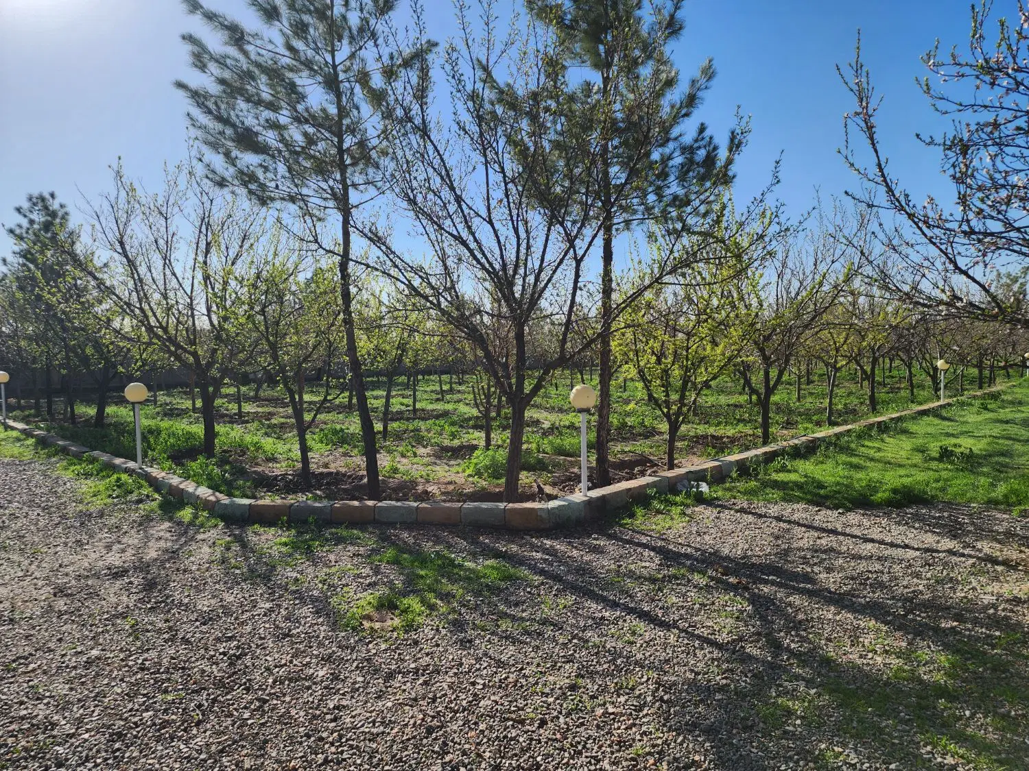 فروش باغ یک هکتاری گوارشک