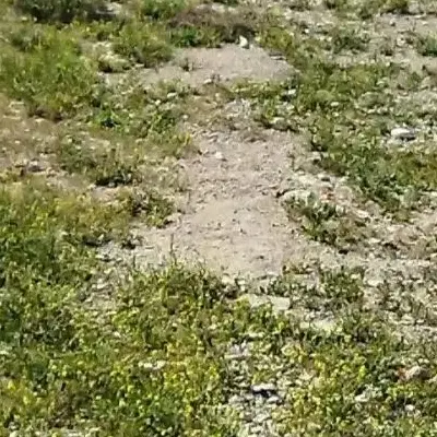 زمین فروشی در ملکشاهی