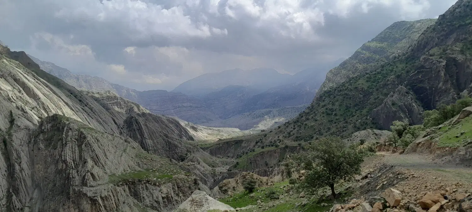 ۳هکتار نسق پلاک ۹بخش ۴