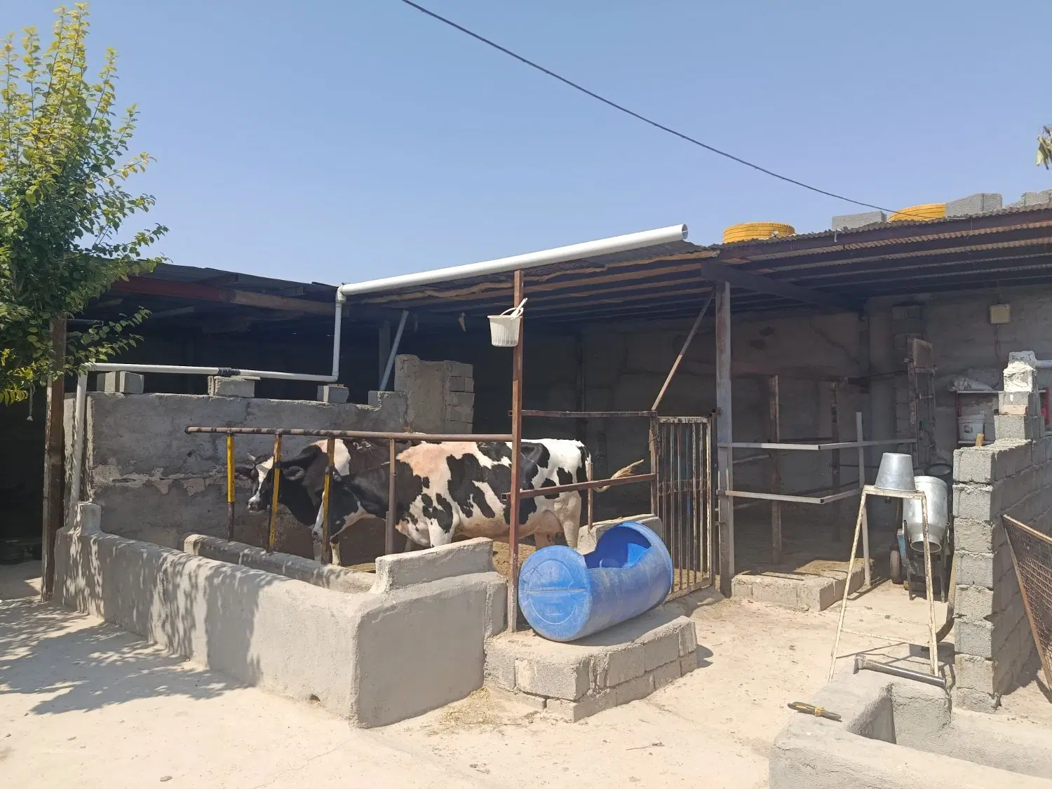 باغ به متراژ 1300متر دارای سوله برای کارگاه