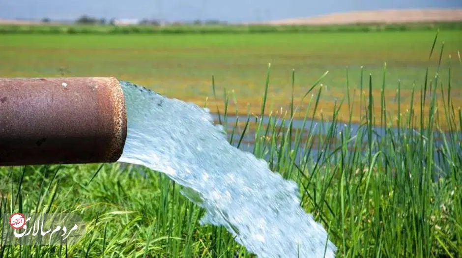 مزایده زمین کشاورزی چاه عمیق بارانی و زمین دیم