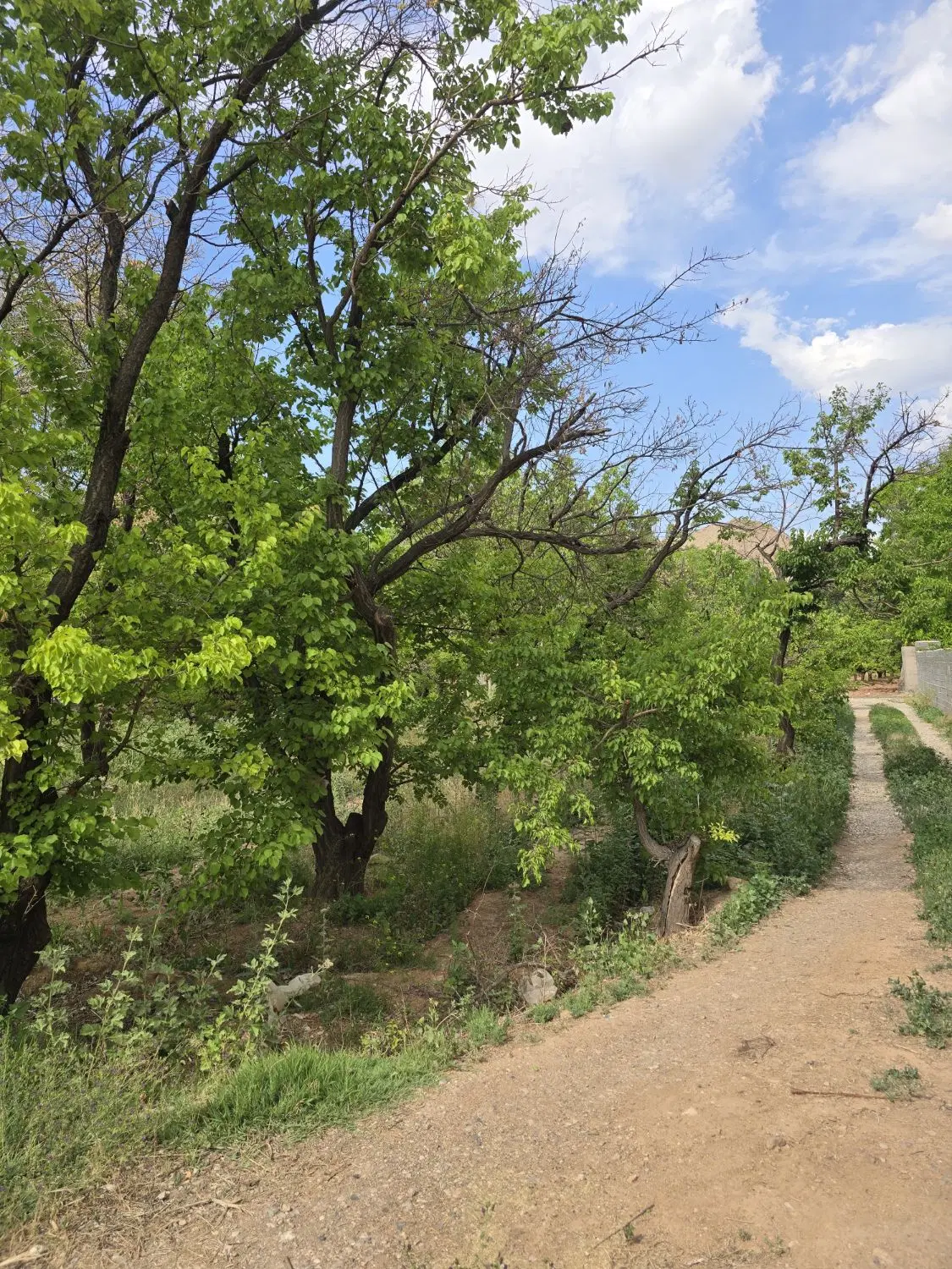 باغ نیستان آستانه