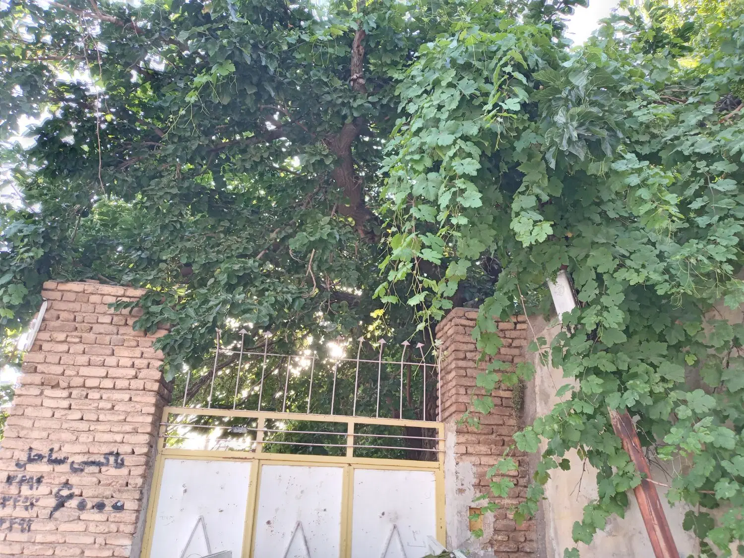 خانه ویلایی باغ ویلادرامام زاده عبدالله آرتیمان