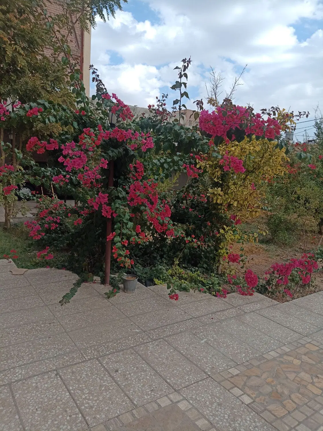 زمین مسکونی معاوضه با زمین کوهپایه