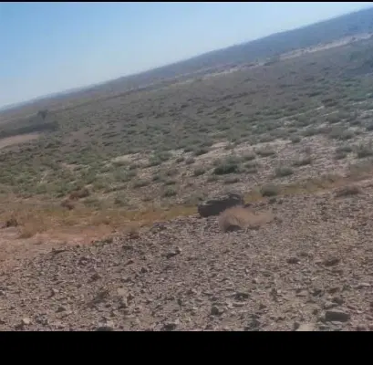 زمین شهرک سرجنگل