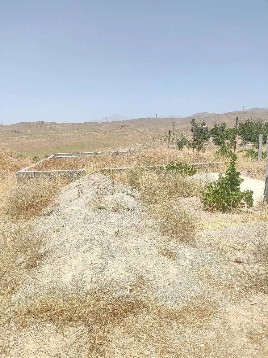 زمین باغی آتانک