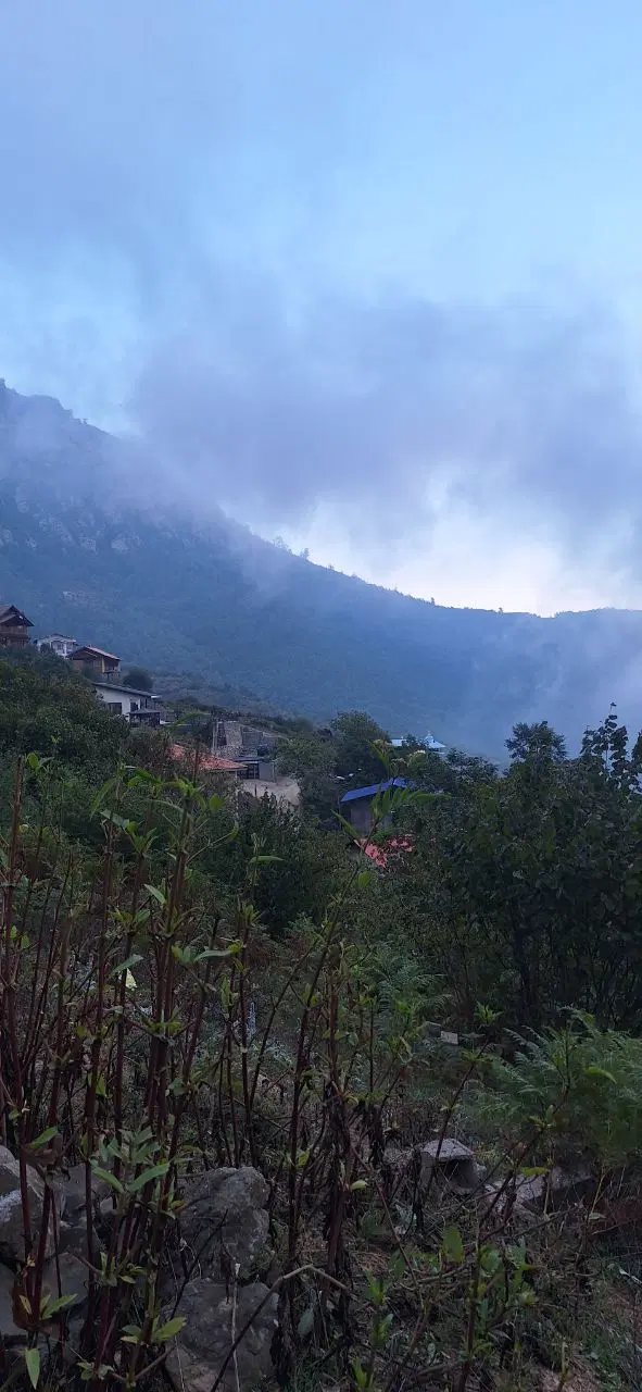 ۴۰۹متر زمین در جاده جواهرده روستای جیرکوه