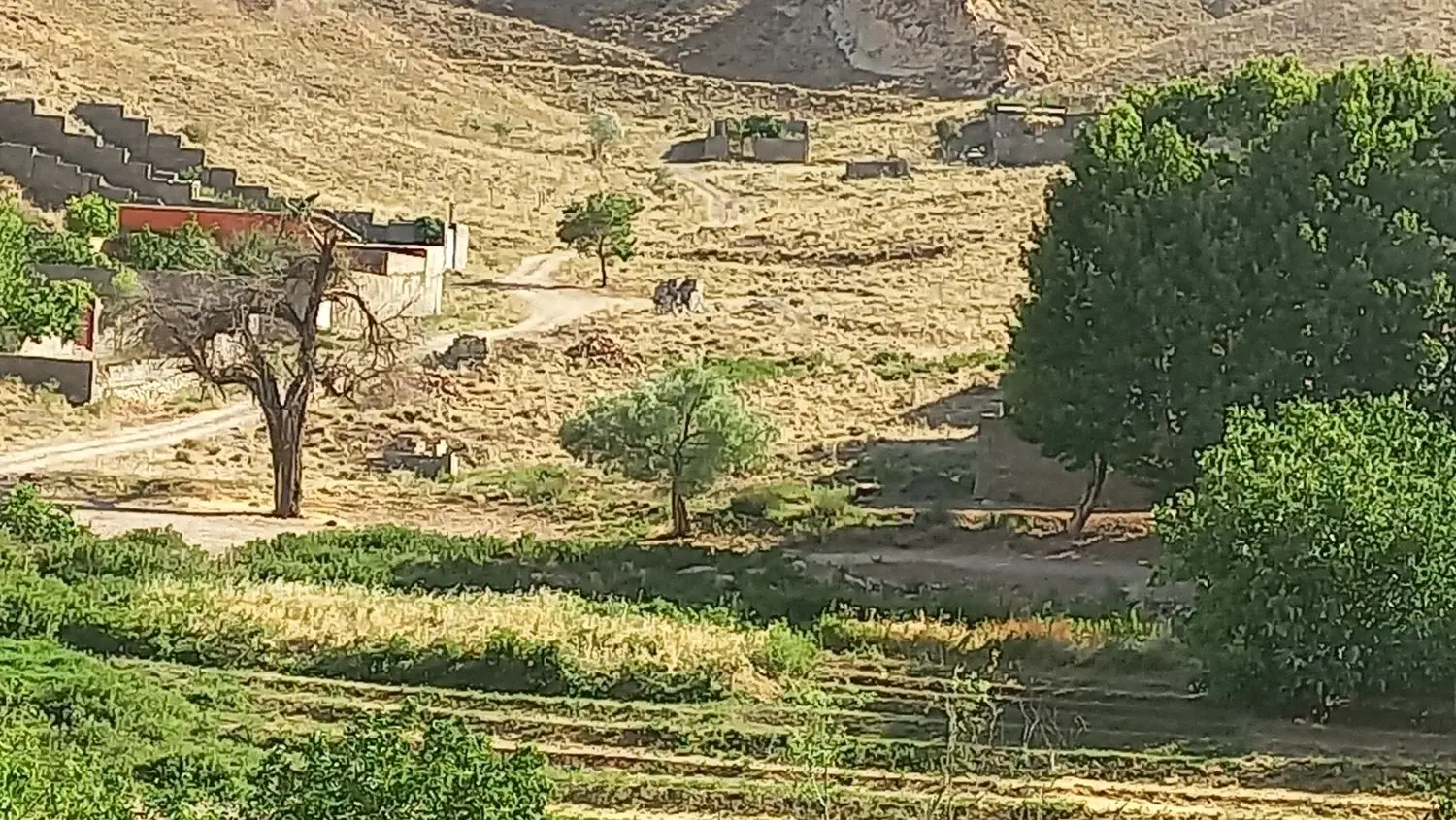 ۲۵۰مترکوهپایه درب آسیاب