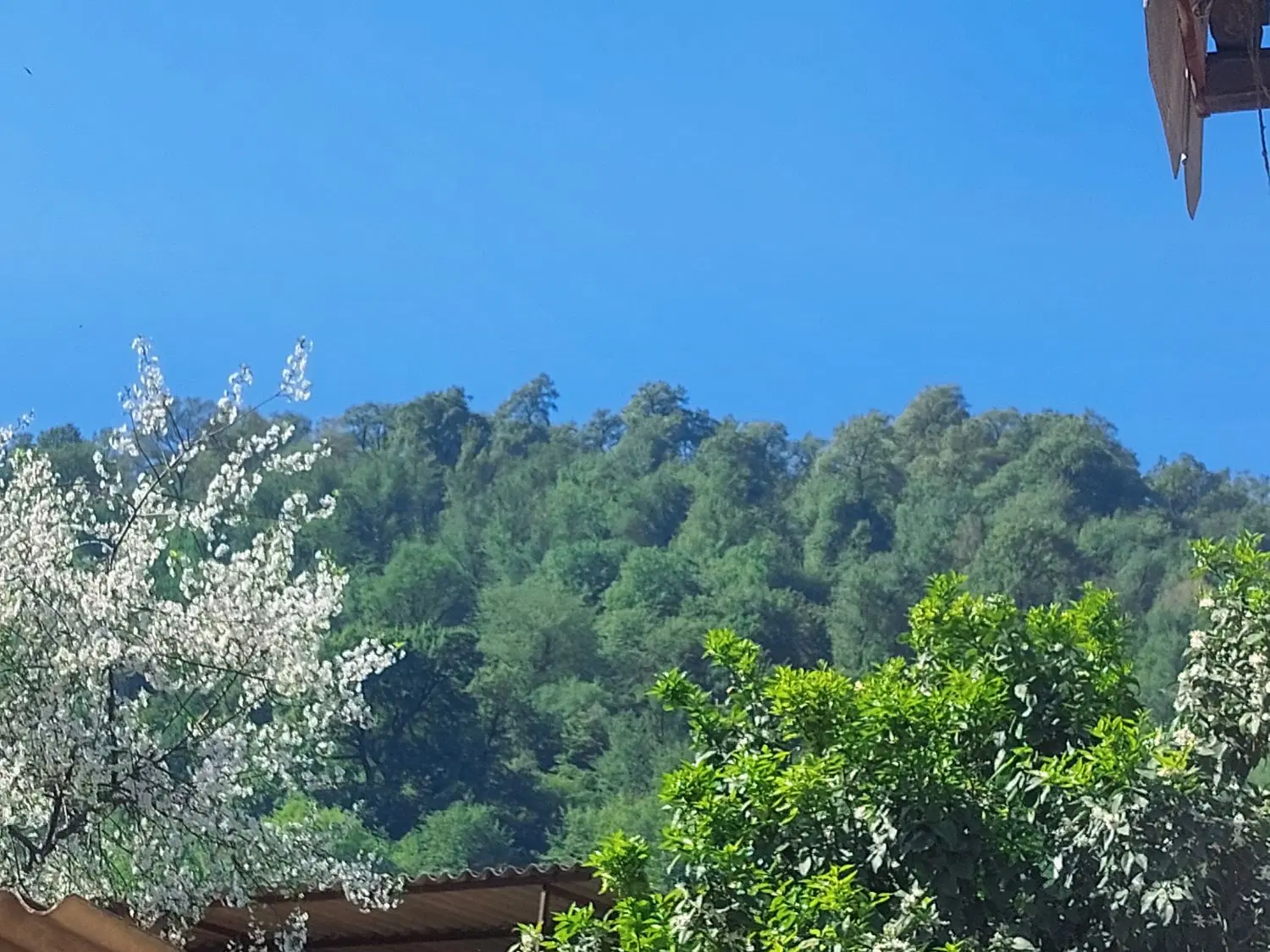 فروش زمین
