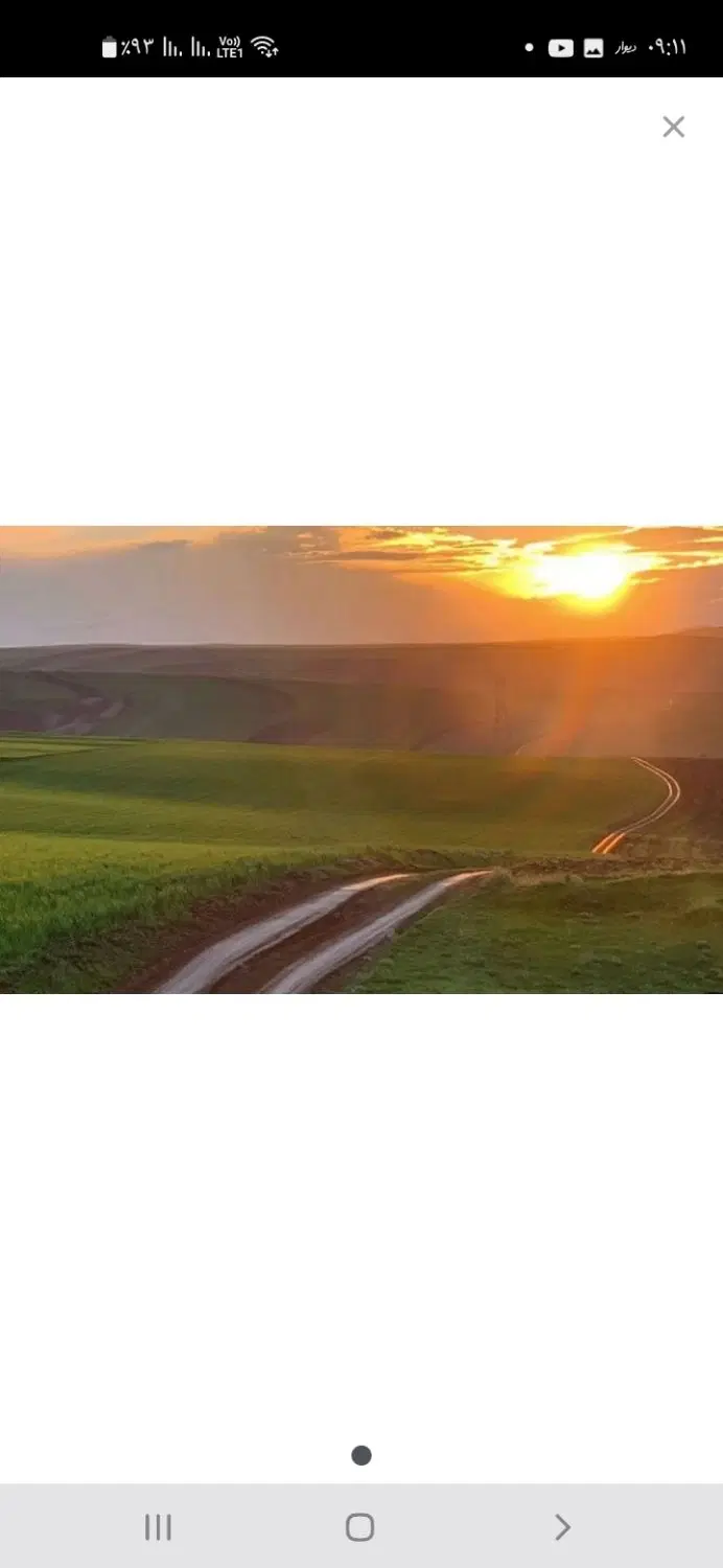 زمین زراعی