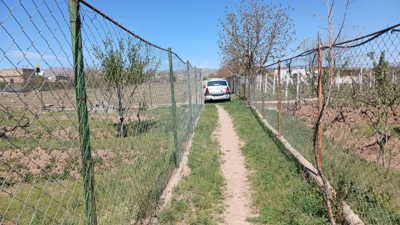 باغ و تاکستان نزدیک به عوارضی ابهر