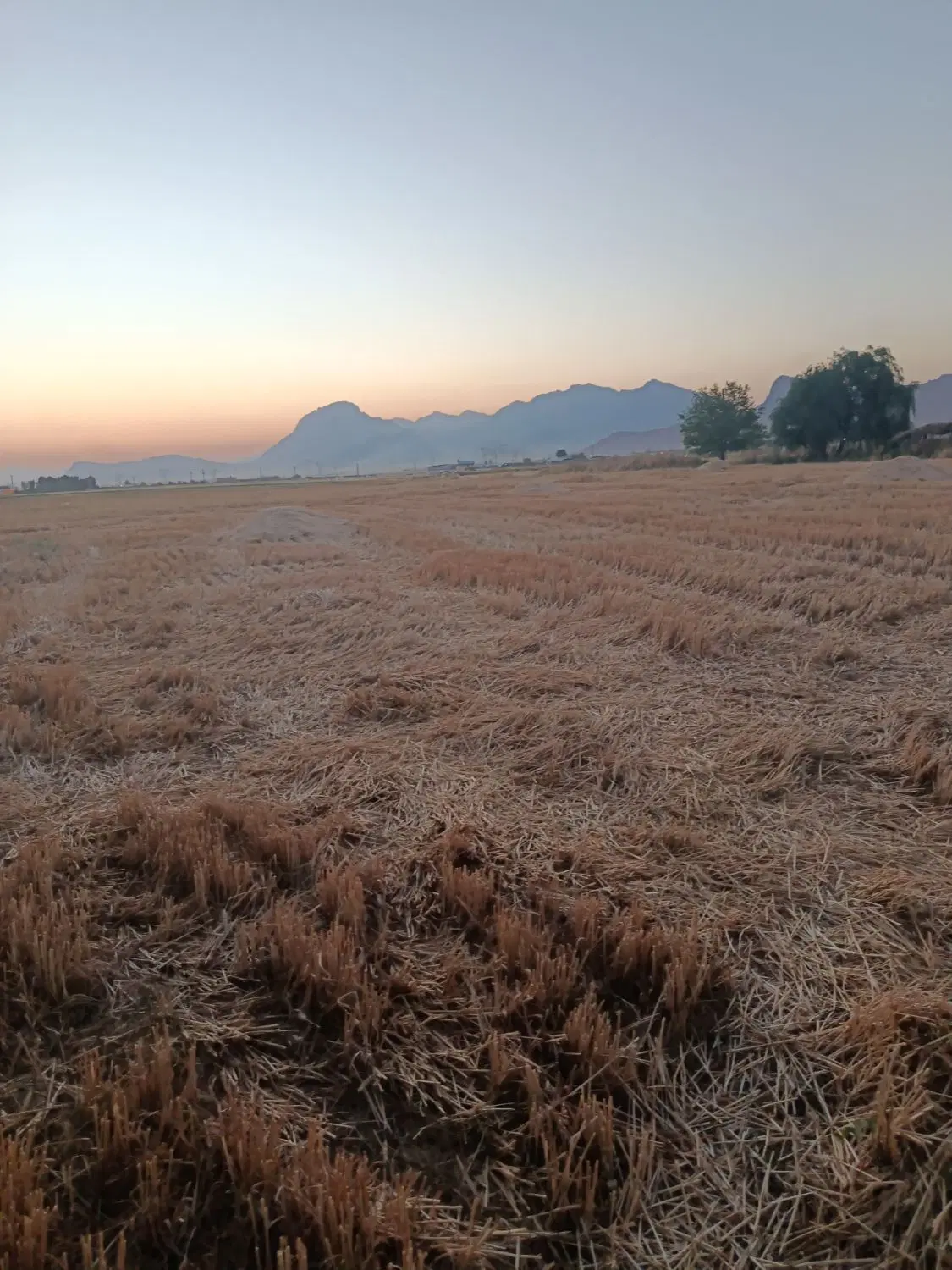 زمین کشاورزی میخام برا اجاره