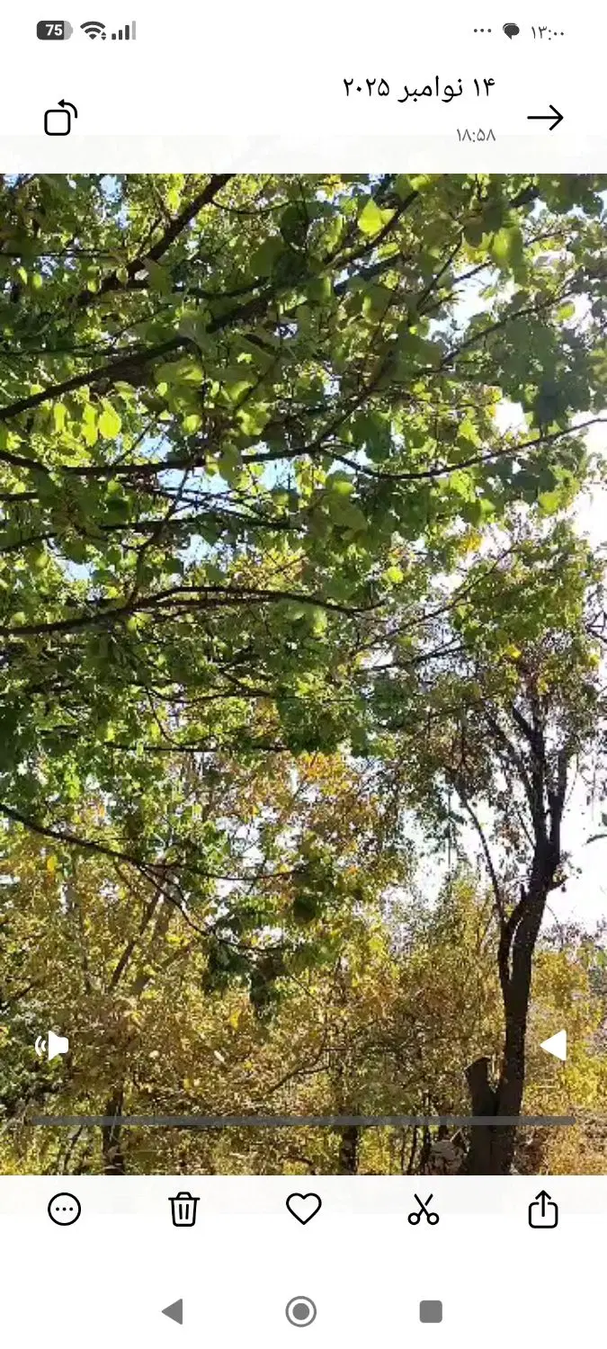 باغ ۱۷۵۰متری