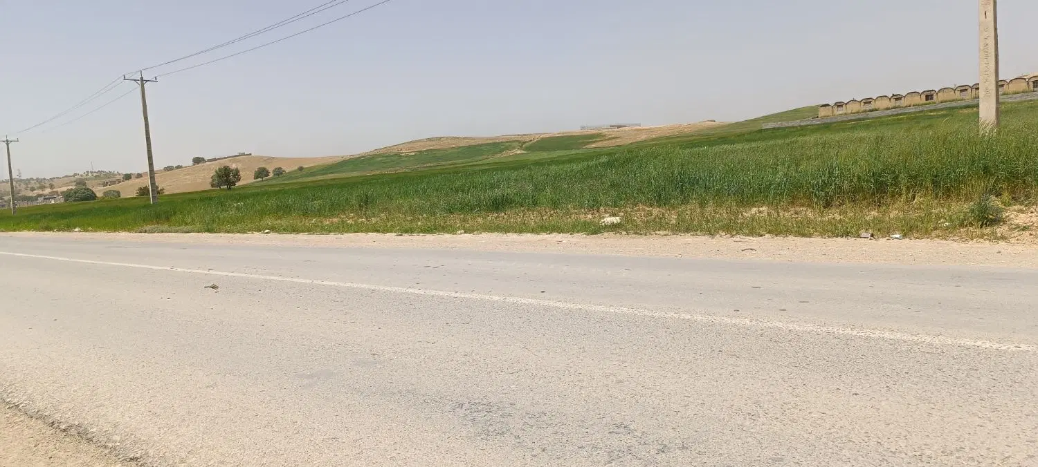زمین تجاری