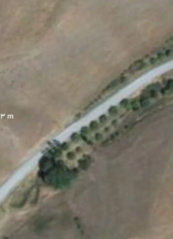 باغ در روستای چاوقون