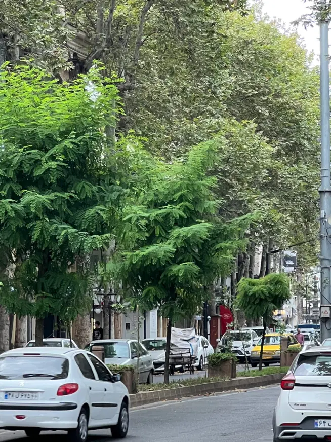 اجاره ملک ویلایی
