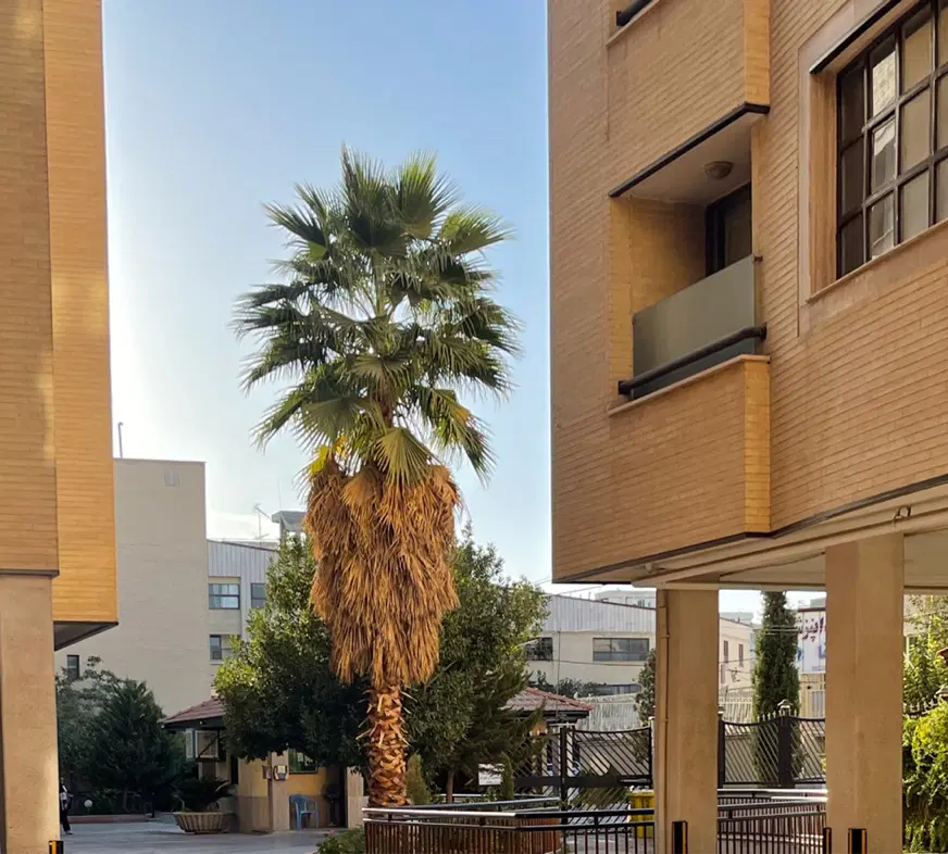 ۱۲۲ متری سپاهان شهر _ جنوبی