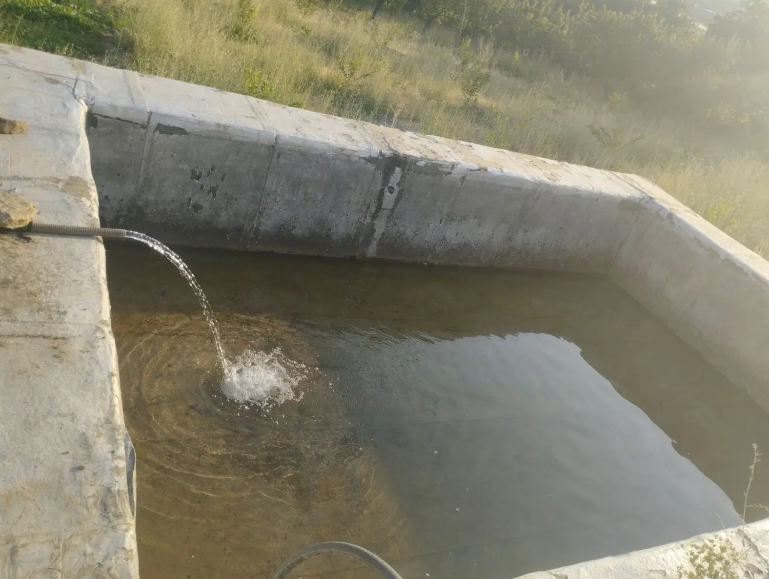 باغ و مرغداری فروشی