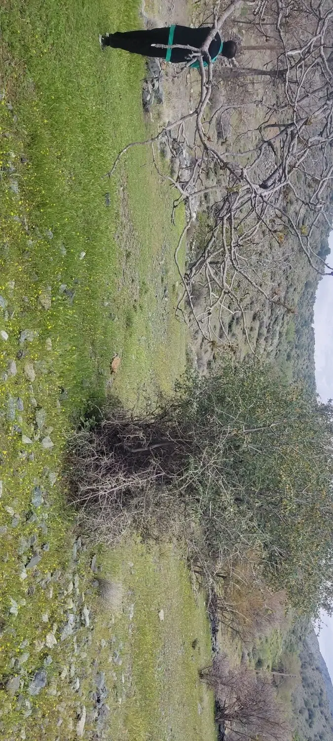 زمین بعد از تونل دهبکری